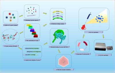 Design of a Recombinant Multivalent Epitope Vaccine Based on SARS-CoV-2 and Its Variants in Immunoinformatics Approaches